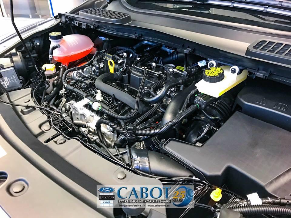 2019 Ford Escape SEL at Cabot Ford in St. John's Newfoundland 2019 Ford Escape SEL at Cabot Ford in St. John's Newfoundland